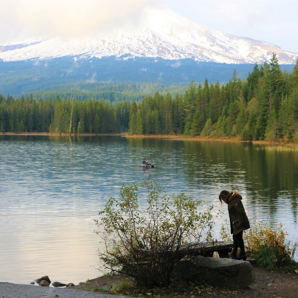 Meet your Posher, Bella